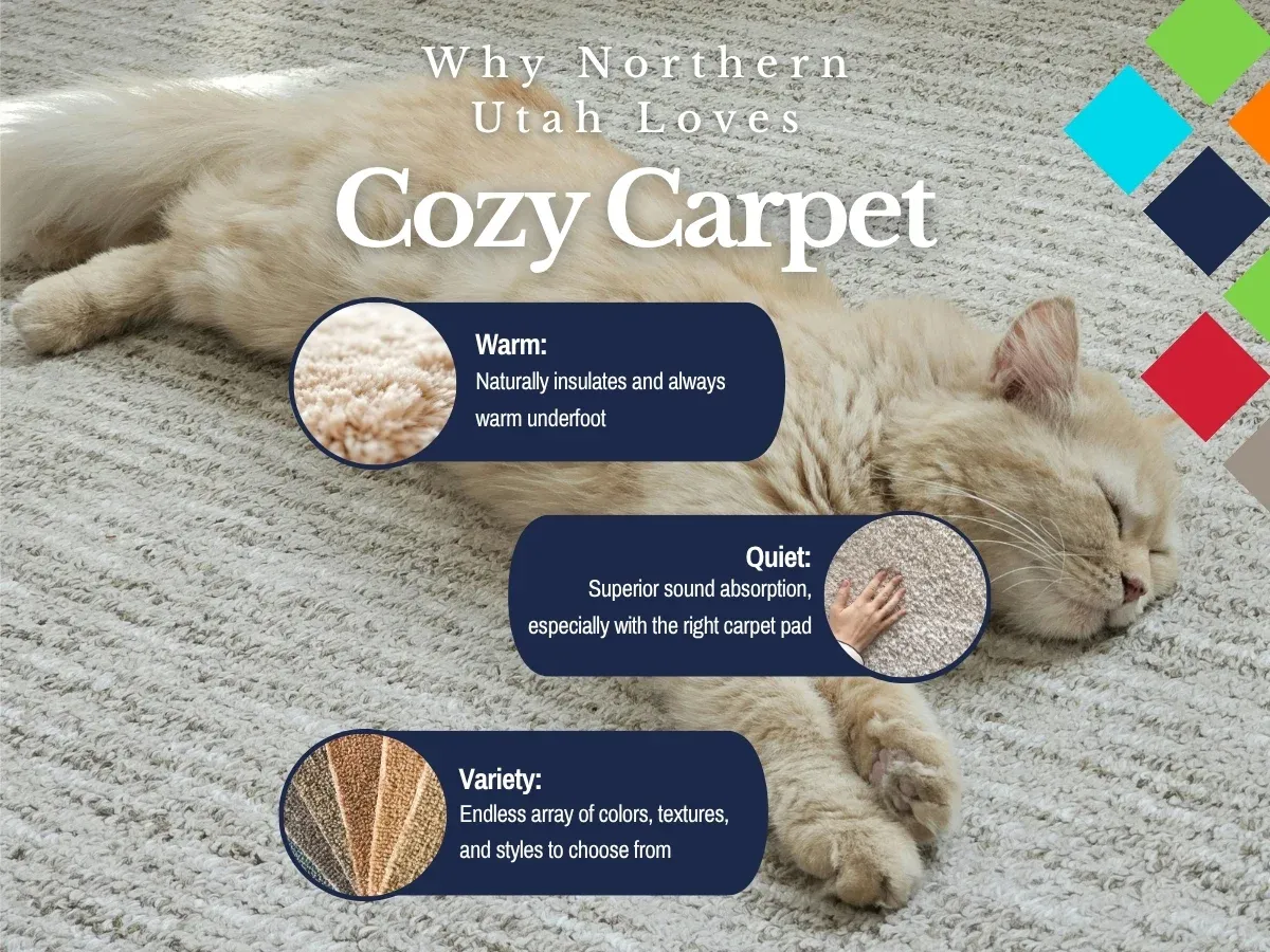 FCI Northern Utah Why Carpet