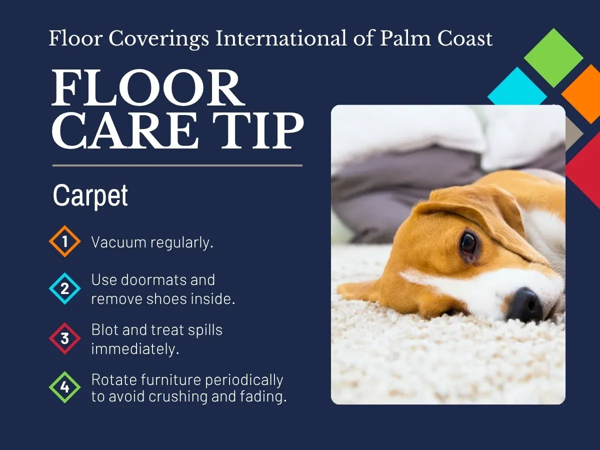 FCI of Palm Coast Floor Care Tip