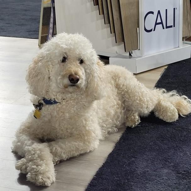 photo of Tucker Forester