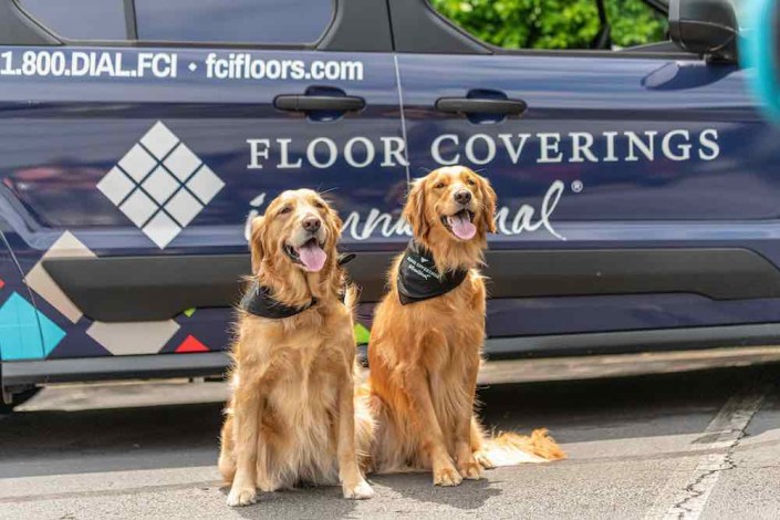 two dogs in front of mobile showroom